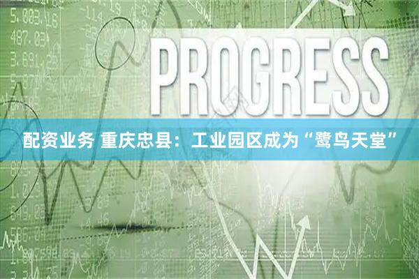 配资业务 重庆忠县：工业园区成为“鹭鸟天堂”