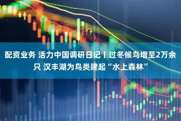 配资业务 活力中国调研日记丨过冬候鸟增至2万余只 汉丰湖为鸟类建起“水上森林”